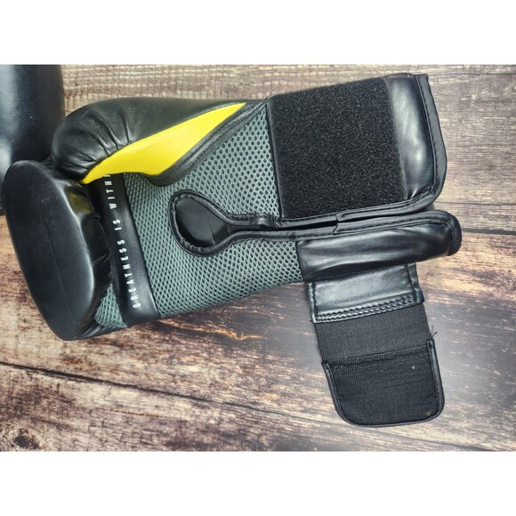 Everlast 14 oz Boxing Gloves ELITE w Ever Shield Pro Style Size Large L - Picture 9 of 13